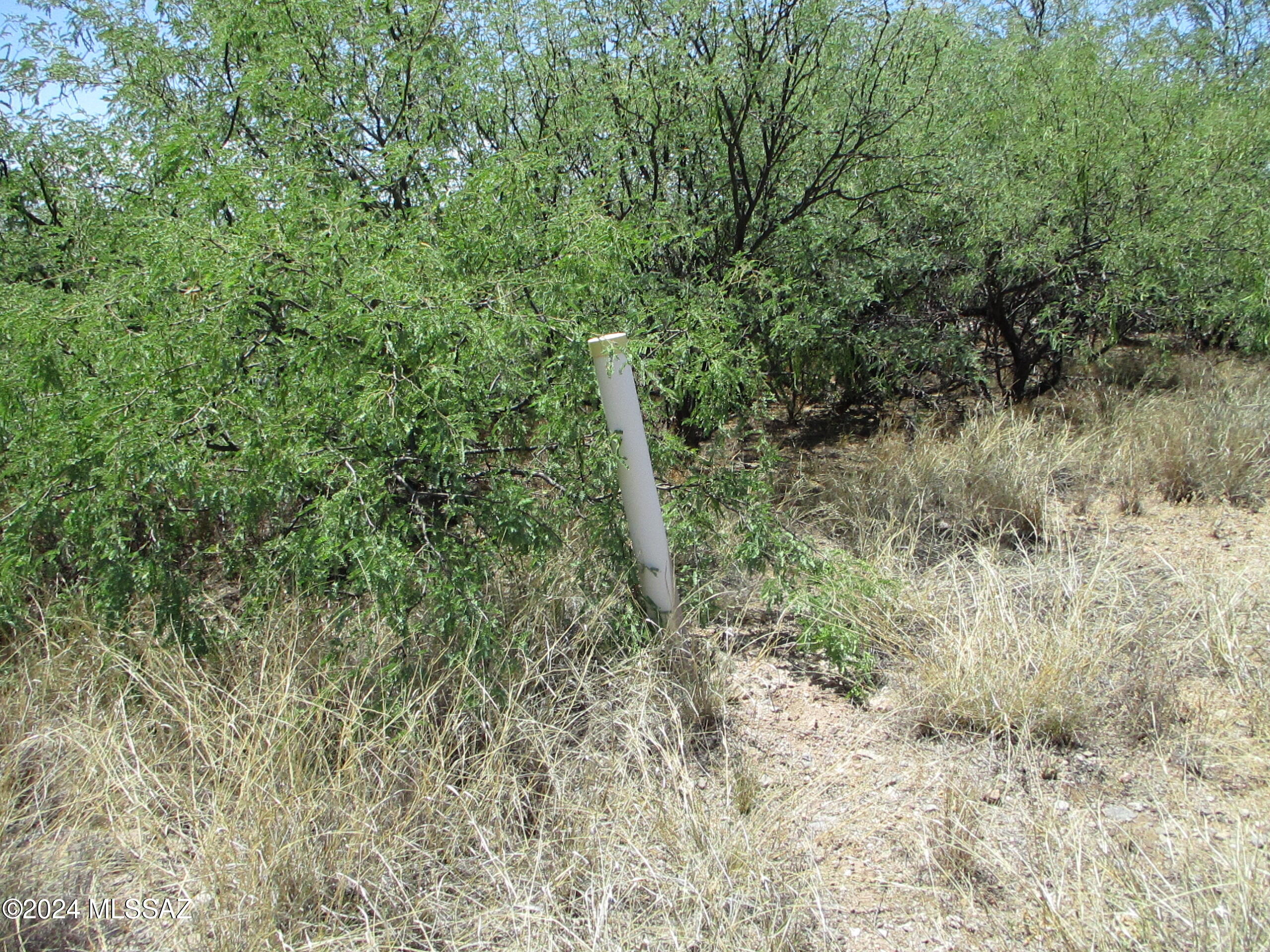 430 Camino Osito, Unit 21 Rio Rico, AZ 85648 - Photo 5 of 7