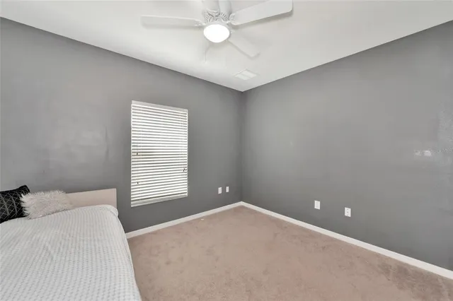 a view of a pathway both side of yard