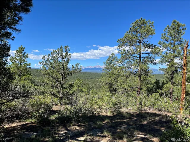 a view of a garden with plants