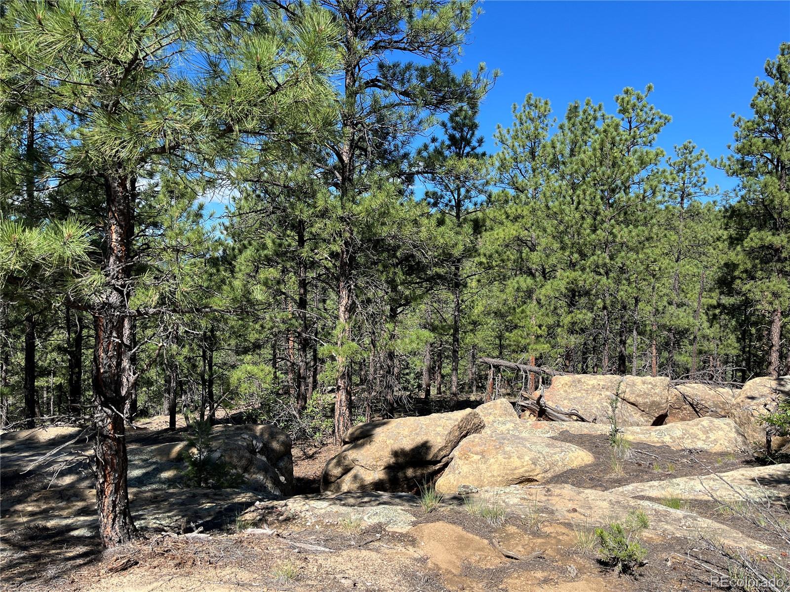 14200 County Road Weston, CO 81091 - Photo 13 of 42 a view of a backyard of the house