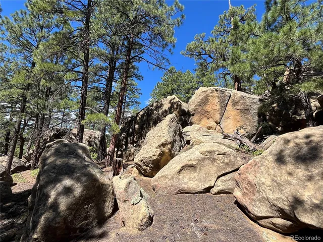 a view of a tree with snow in the background