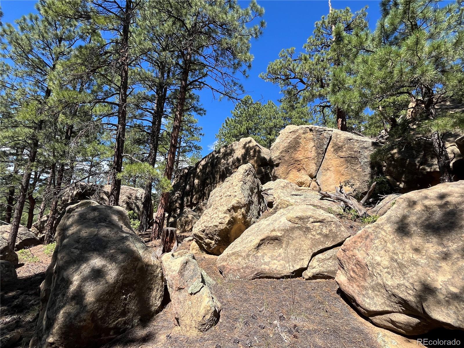 14200 County Road Weston, CO 81091 - Photo 14 of 42 a view of a tree with snow in the background