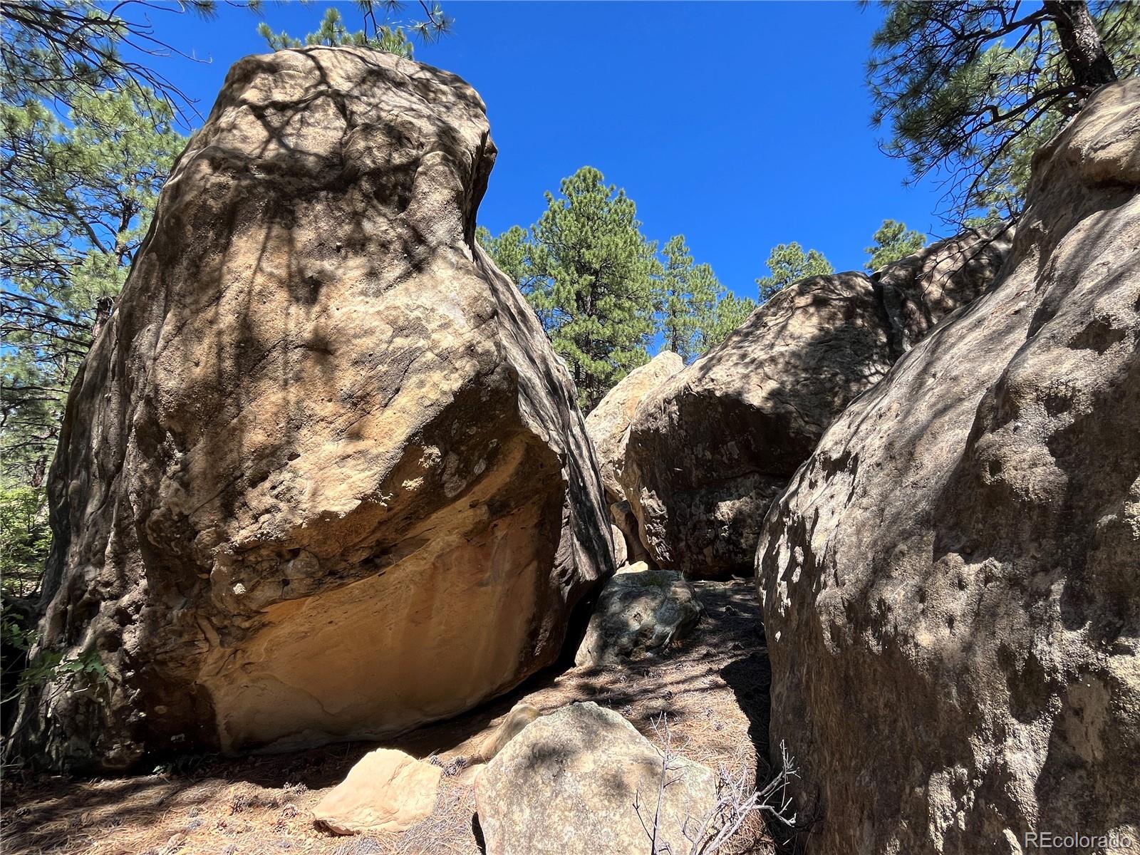14200 County Road Weston, CO 81091 - Photo 15 of 42 a view of a tree