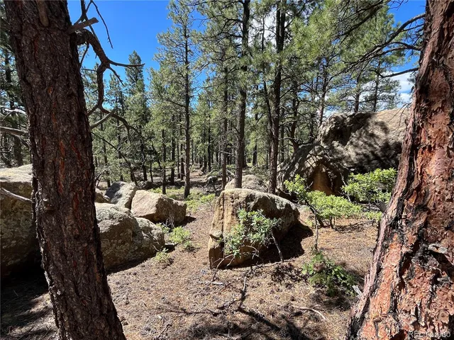 a view of a back yard of the house