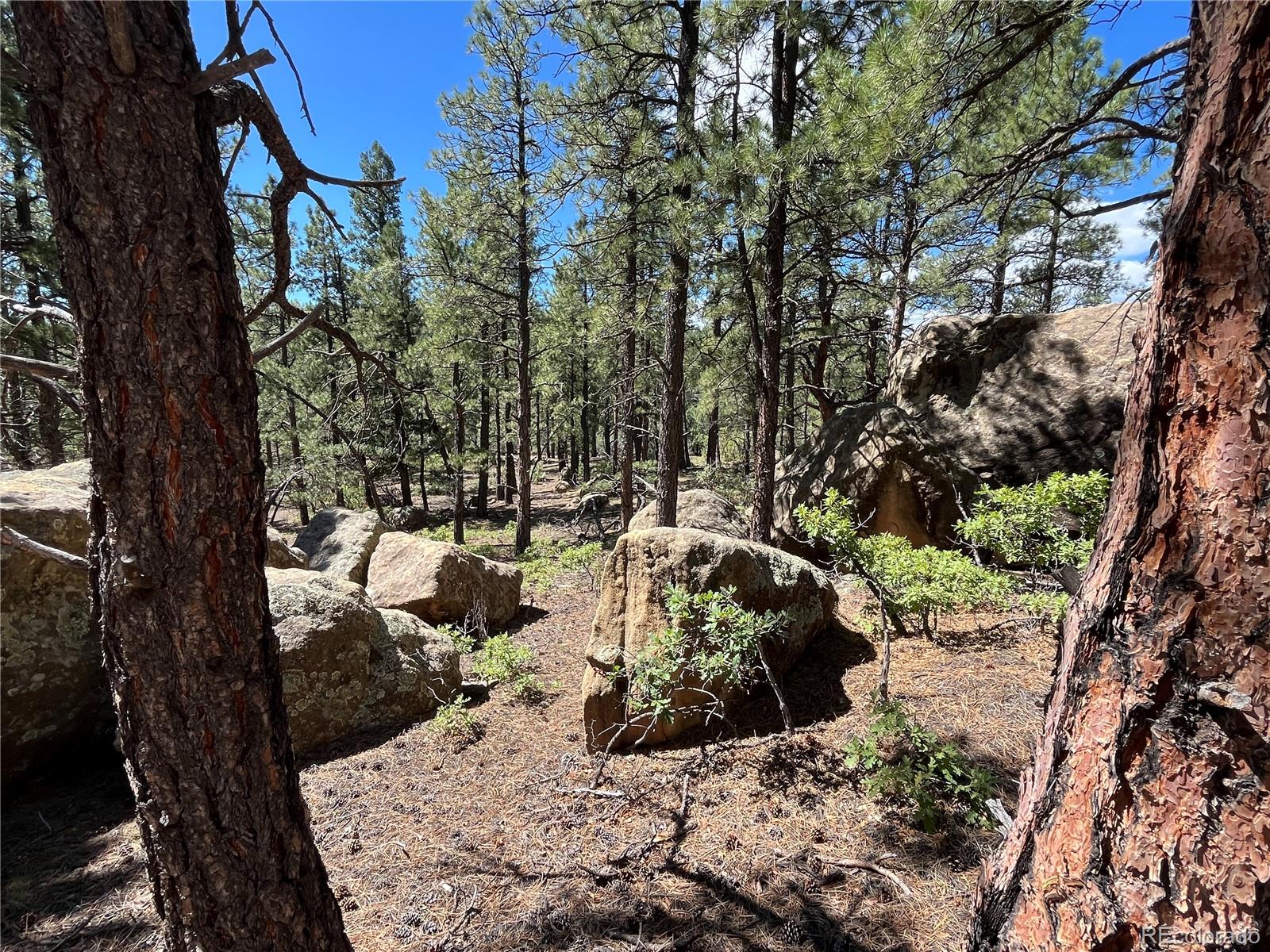 14200 County Road Weston, CO 81091 - Photo 16 of 42 a view of a back yard of the house