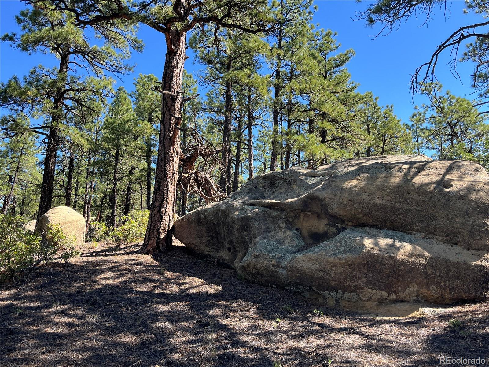 14200 County Road Weston, CO 81091 - Photo 19 of 42 a view of outdoor space and yard