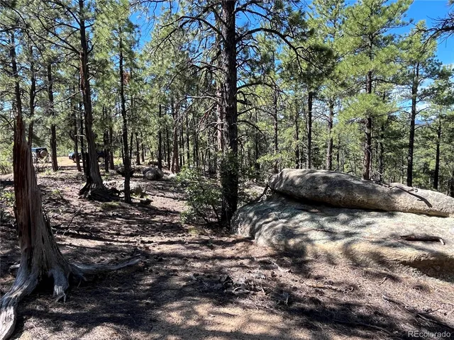 a view of outdoor space with lots of trees