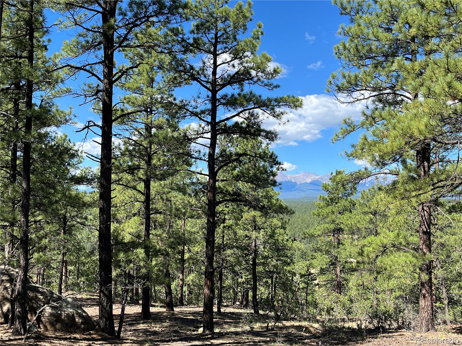 14200 County Road Weston, CO 81091 - Photo 21 of 42