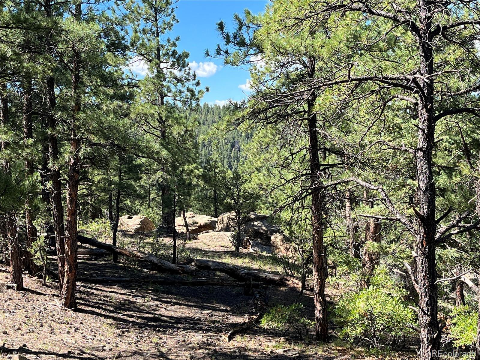 14200 County Road Weston, CO 81091 - Photo 22 of 42 a view of a tree in the middle of a yard
