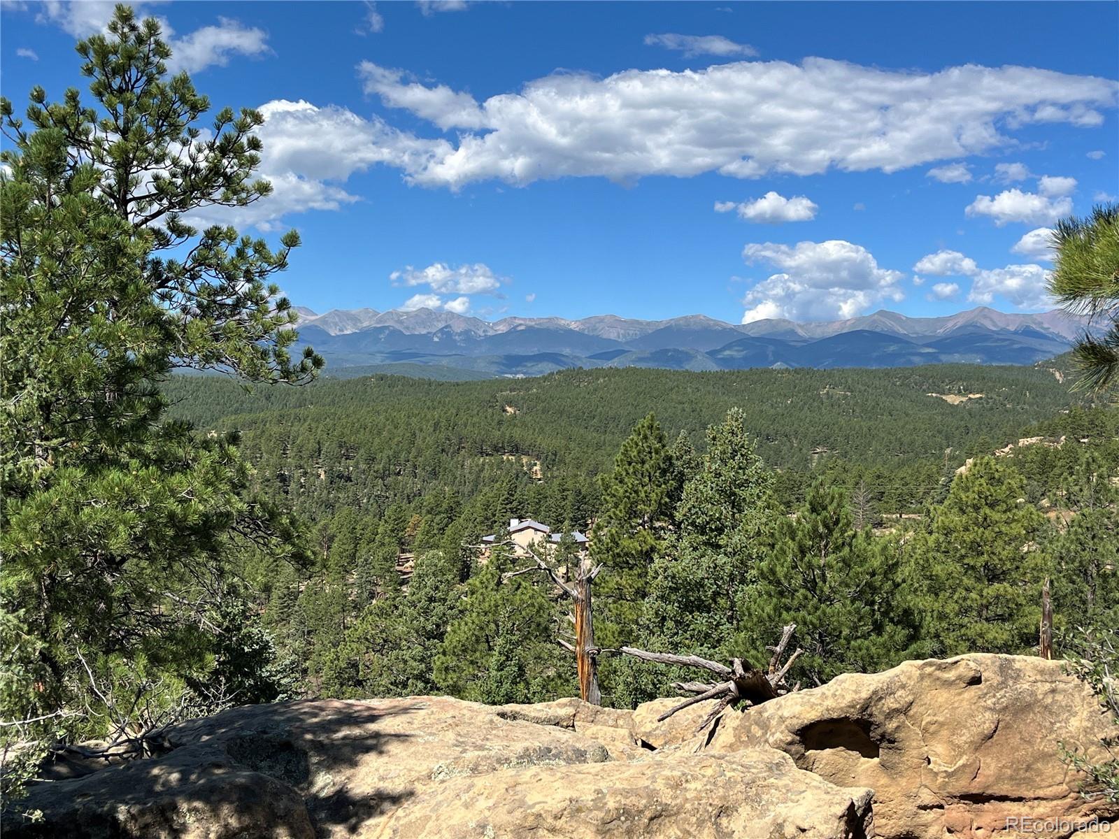 14200 County Road Weston, CO 81091 - Photo 29 of 42 a view of a yard with a tree