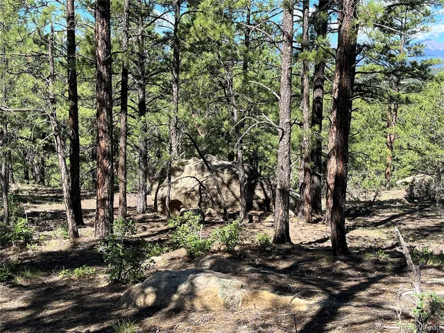 a view of a yard with a tree