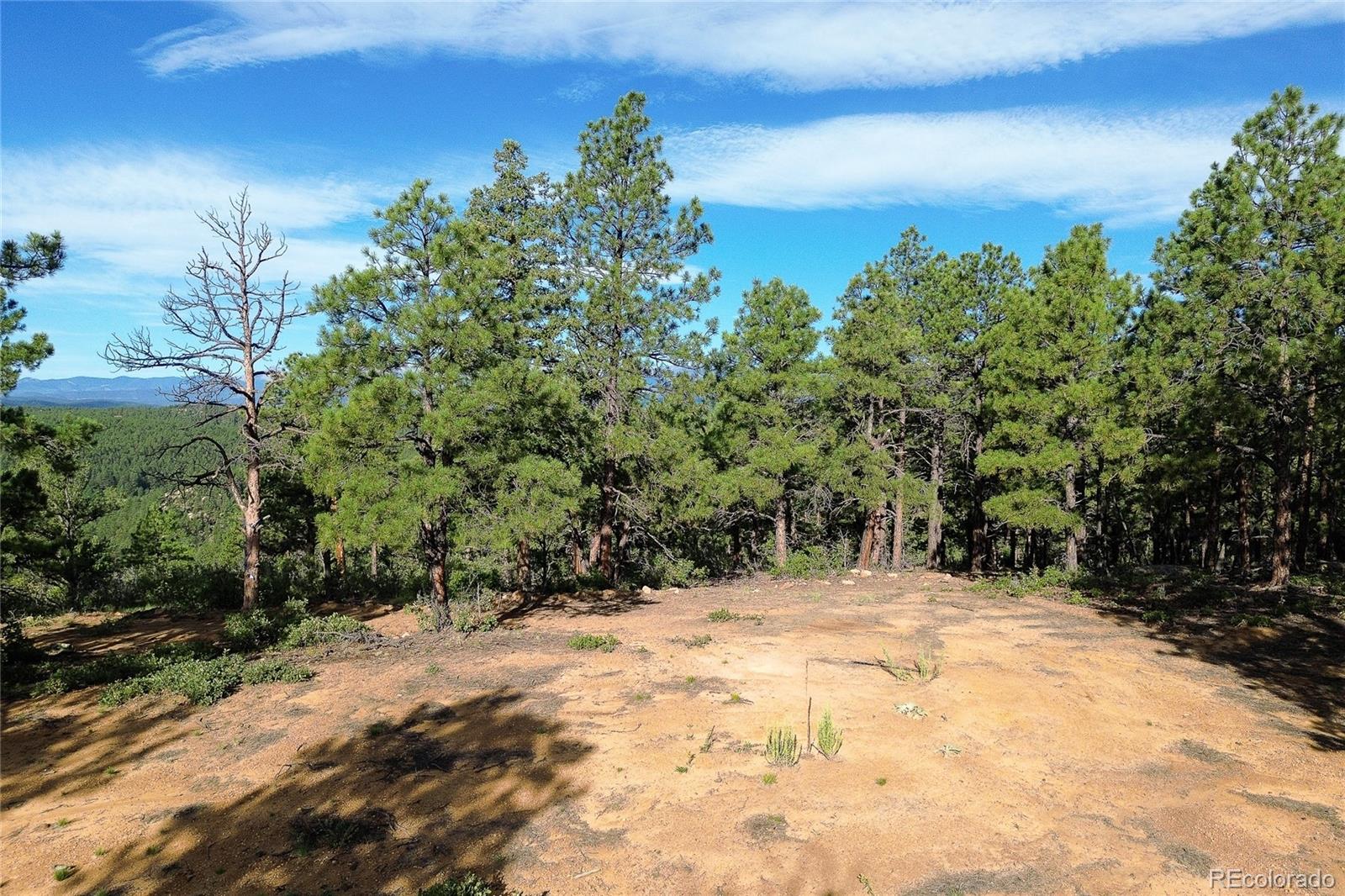 14200 County Road Weston, CO 81091 - Photo 35 of 42 a view of outdoor space with mountain view
