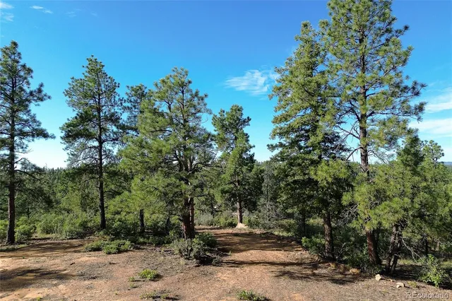 a view of a city with lush green forest