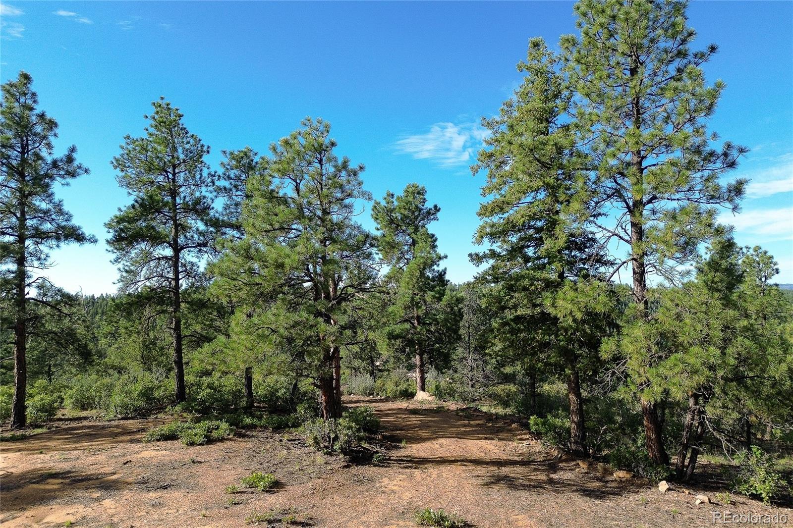 14200 County Road Weston, CO 81091 - Photo 36 of 42 a pathway of a yard