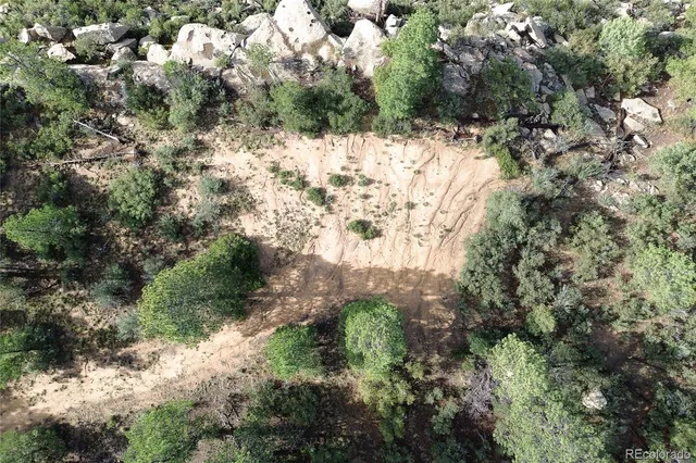 a view of a city with lush green forest
