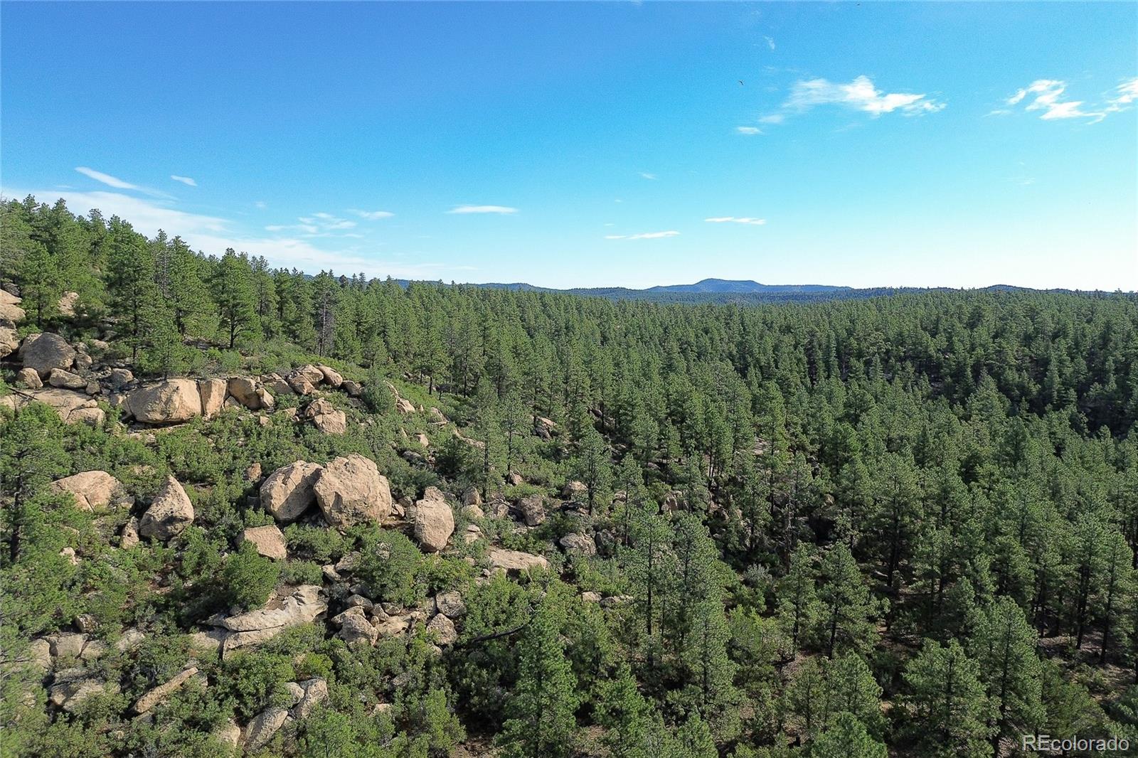 14200 County Road Weston, CO 81091 - Photo 39 of 42 a view of a city with lush green forest
