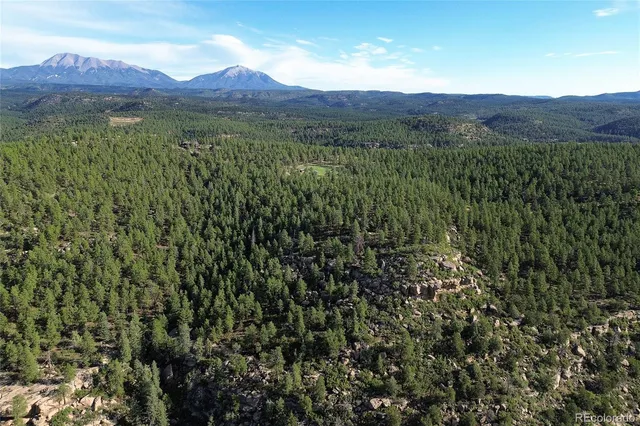 a view of a lush green field with lots of bushes