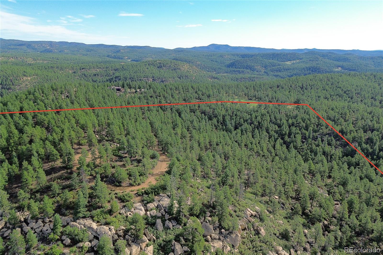 14200 County Road Weston, CO 81091 - Photo 41 of 42 a view of a lush green forest with lush green forest