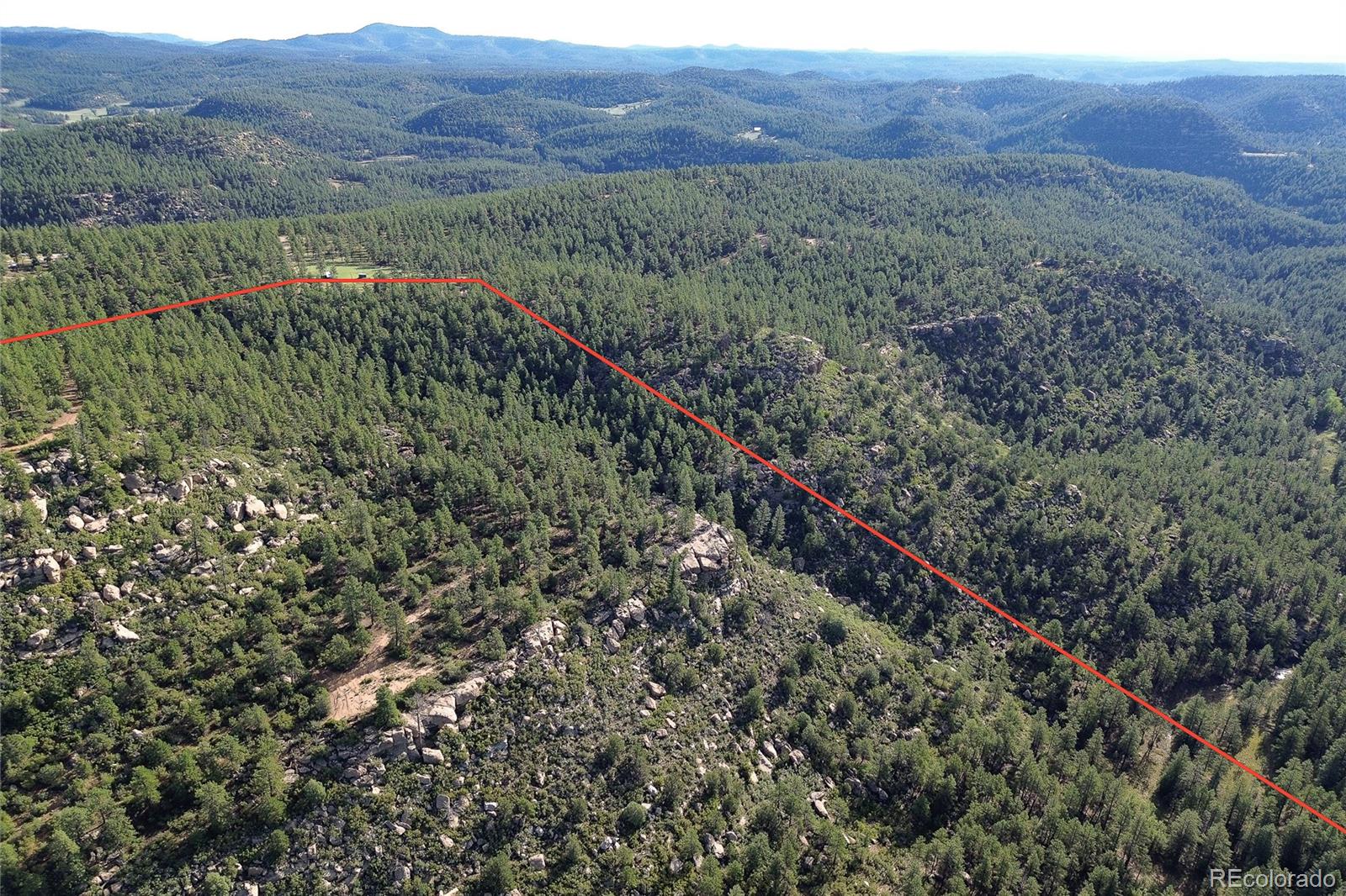 14200 County Road Weston, CO 81091 - Photo 42 of 42 a view of a lush green field with lots of bushes