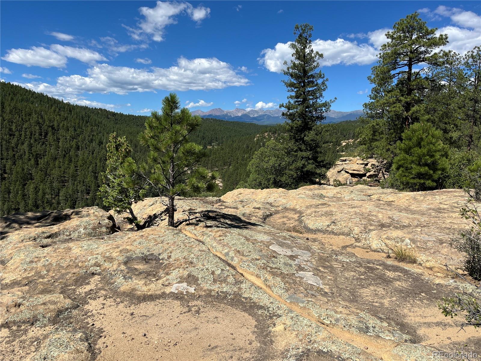 14200 County Road Weston, CO 81091 - Photo 5 of 42 a view of a snow with a yard