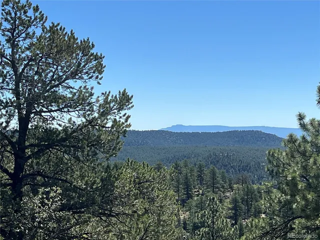 a view of a lush green field with lots of bushes