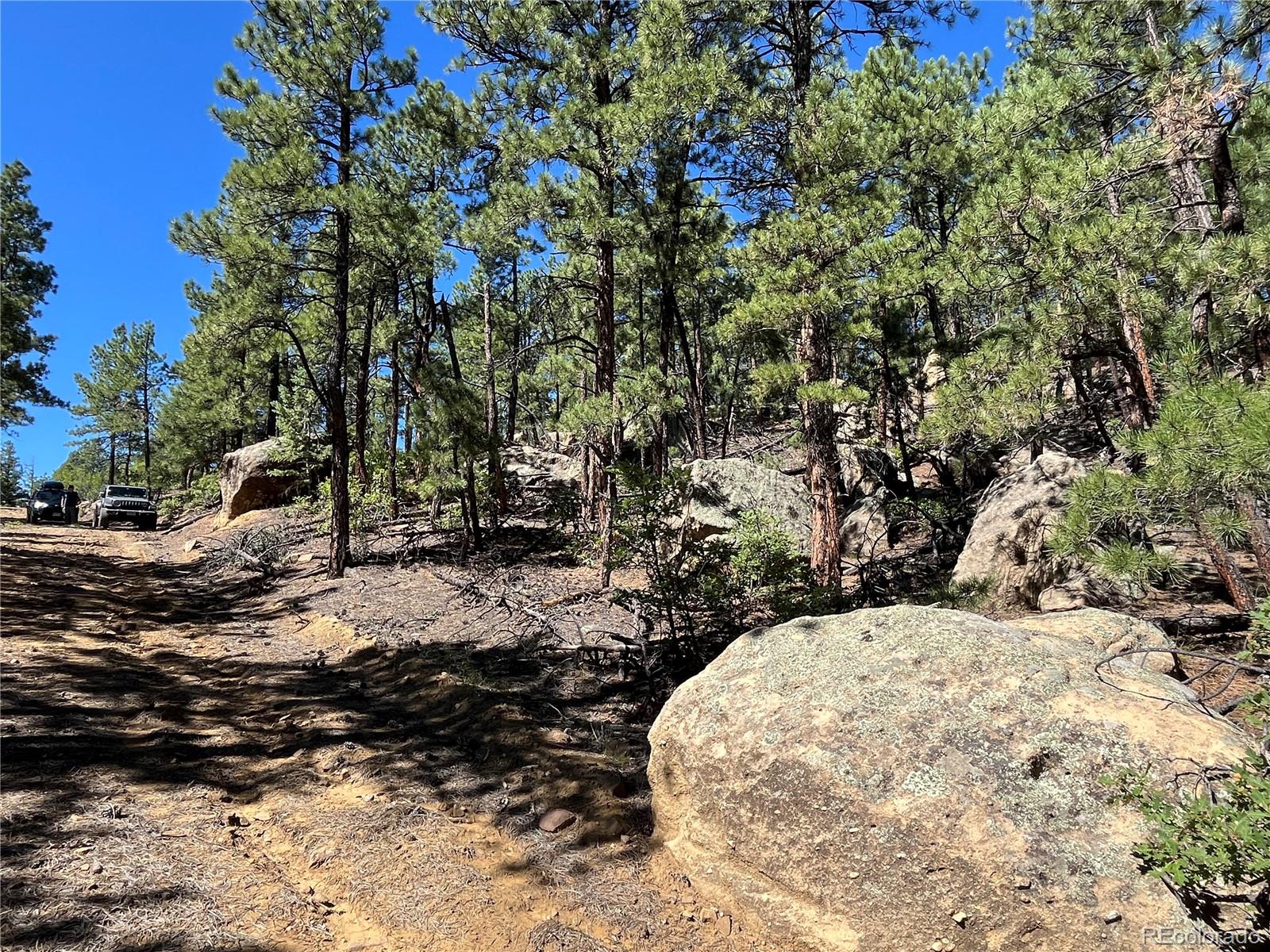 14200 County Road Weston, CO 81091 - Photo 8 of 42 a view of a outdoor space