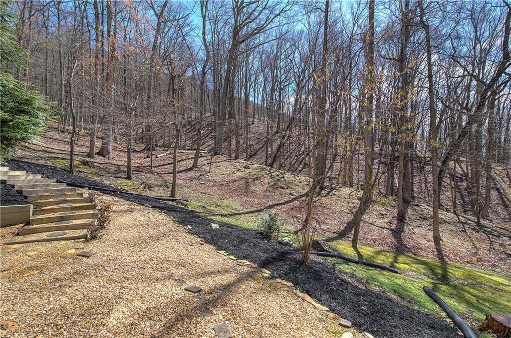 64 Fairview Court Jasper, GA 30143 - Photo 57 of 86