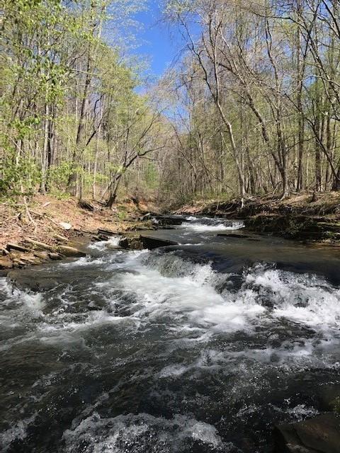 64 Fairview Court Jasper, GA 30143 - Photo 81 of 86