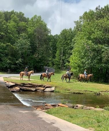 64 Fairview Court Jasper, GA 30143 - Photo 85 of 86