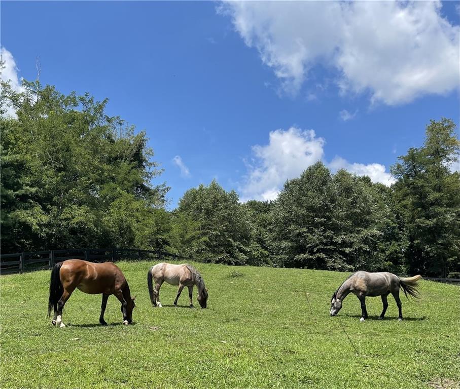 64 Fairview Court Jasper, GA 30143 - Photo 86 of 86 a couple of chairs that are in the grass