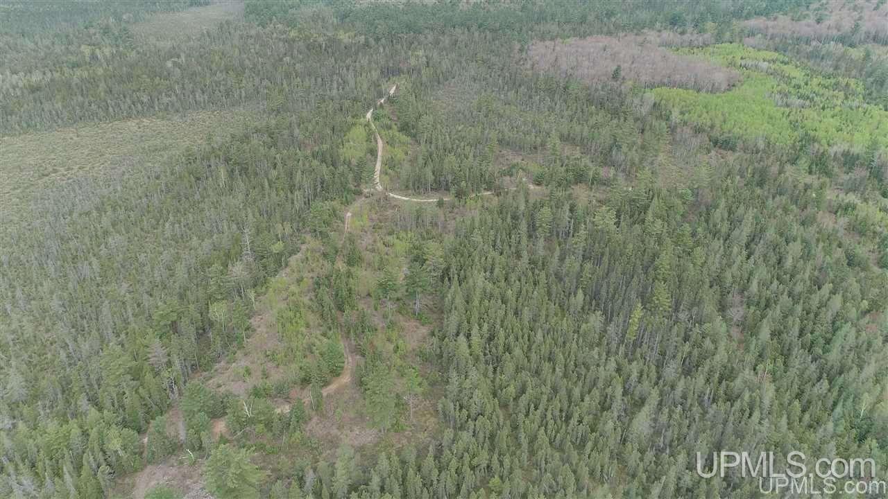 80-acres Camp 6 Road Newberry, MI 49853 - Photo 3 of 6