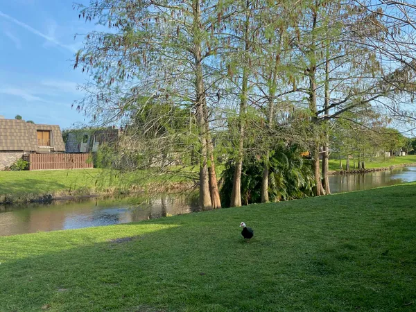 $2,650 | 1705 Forest Lakes Circle, Unit C, West Palm Beach, FL 33406