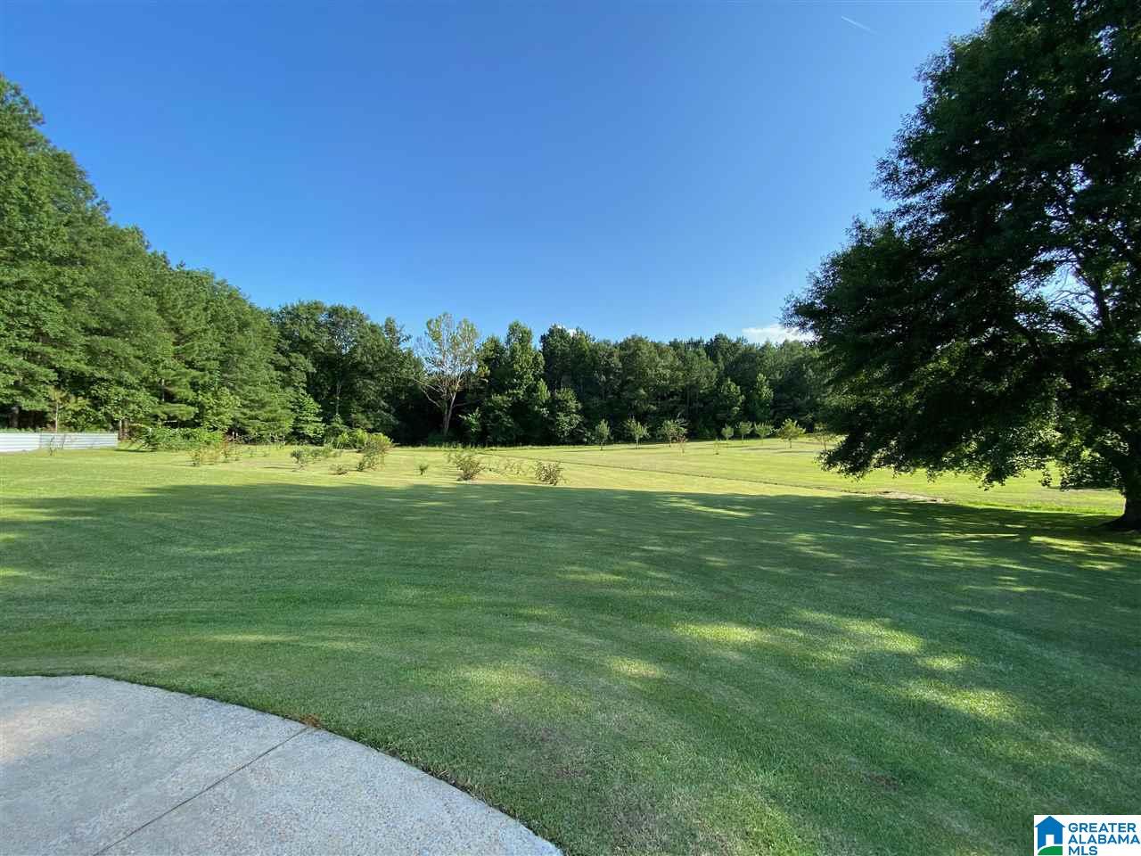 8321 Mill Creek Road Dora, AL 35062 - Photo 46 of 49