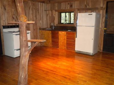 378 Old Gauley Road Livingston, KY 40445 - Photo 19 of 44 Photo 19