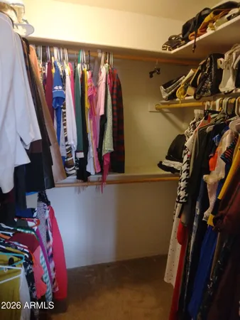 a view of walk in closet with clothes and shoes