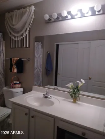a bathroom with a sink a toilet and mirror
