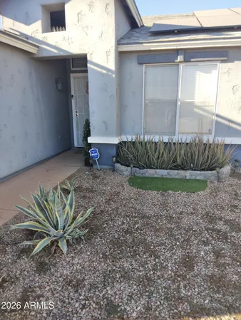 a view of a backyard with plants