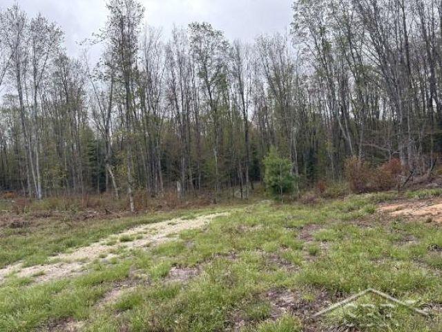 N948 Old Plank Road Wetmore, MI 49895 - Photo 24 of 26