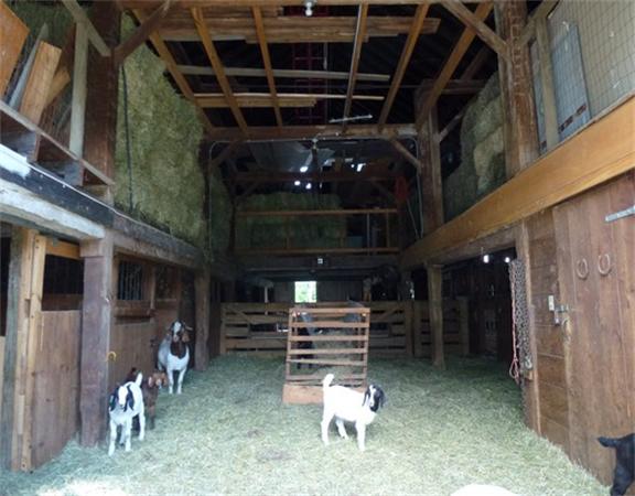 394 Littlefield Road Boxborough, MA 01719 - Photo 18 of 21 a view of room with window