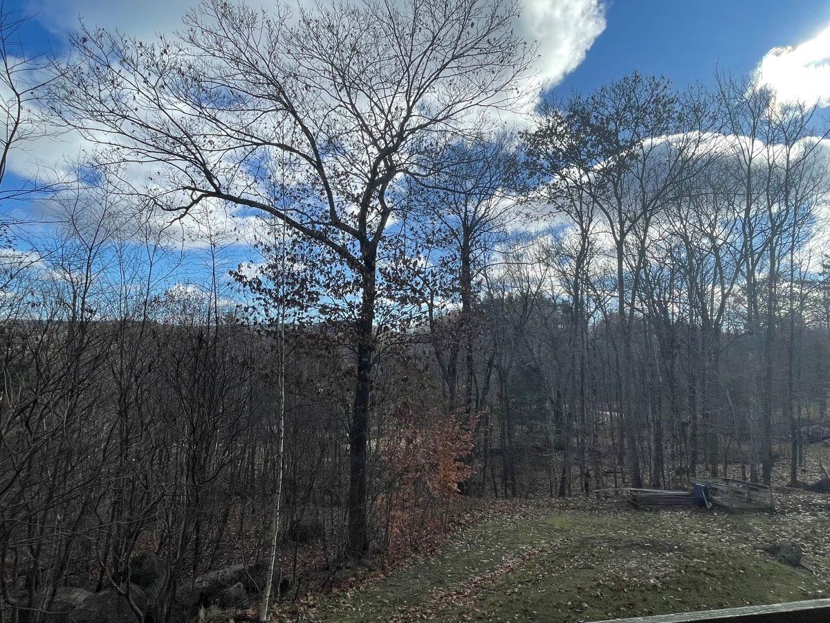 65 Turtle Rock Road Stoddard, NH 03464 - Photo 9 of 24