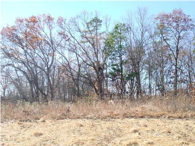 9416 Smith Morgan Road Soddy Daisy, TN 37379 - Photo 24 of 25 Additional Photo