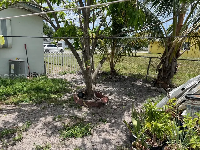 a small garden covered with tall trees