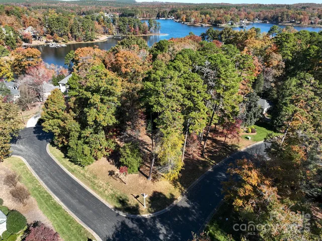 a view of a garden with plants
