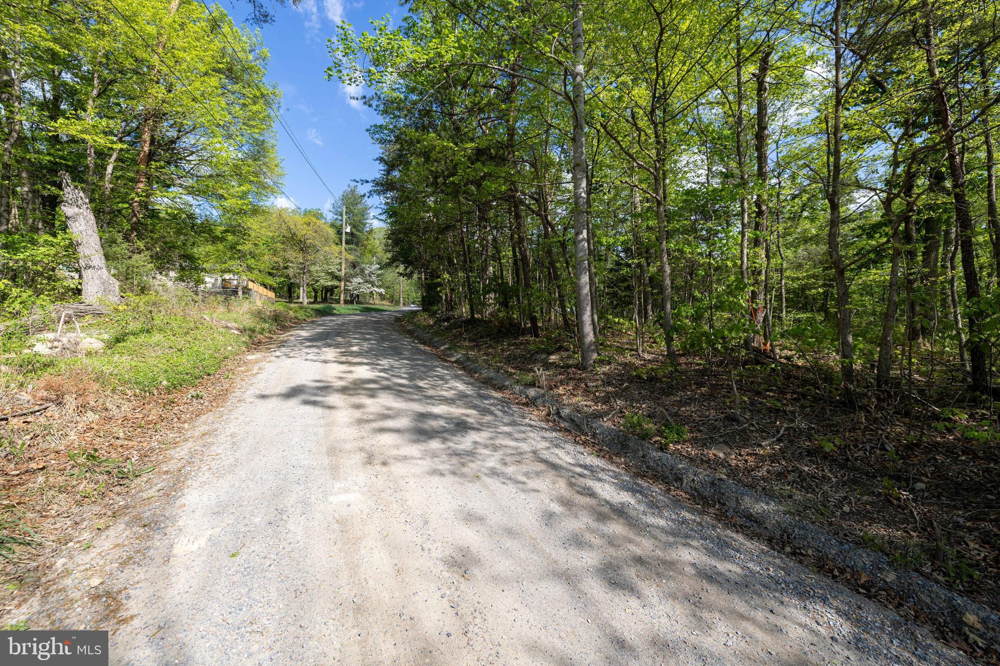 H49 Cross Creek Road Luray, VA 22835 - Photo 33 of 46 a view of a forest with trees in the background