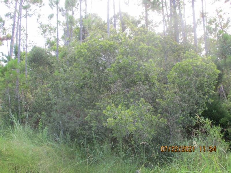 52 Conch Street Port St. Joe, FL 32456 - Photo 1 of 8