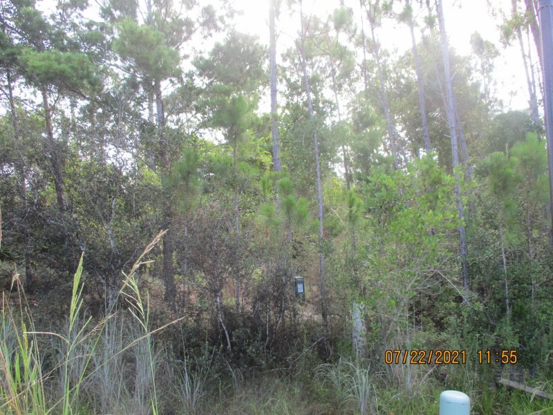 52 Conch Street Port St. Joe, FL 32456 - Photo 4 of 8