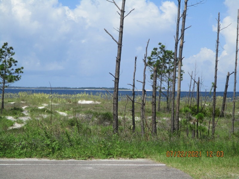 52 Conch Street Port St. Joe, FL 32456 - Photo 5 of 8