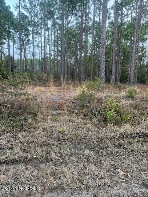 Lot 45-47 Juniper Road Southport, NC 28461 - Photo 1 of 5 juniper Rd front