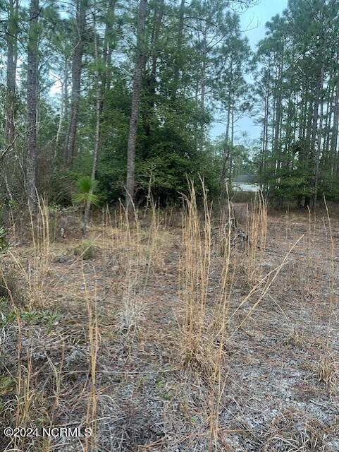 Lot 45-47 Juniper Road Southport, NC 28461 - Photo 2 of 5 Juniper left