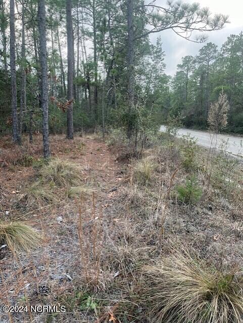 Lot 45-47 Juniper Road Southport, NC 28461 - Photo 3 of 5 juniper rt